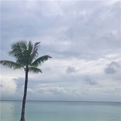正义枪战虫虫版下载